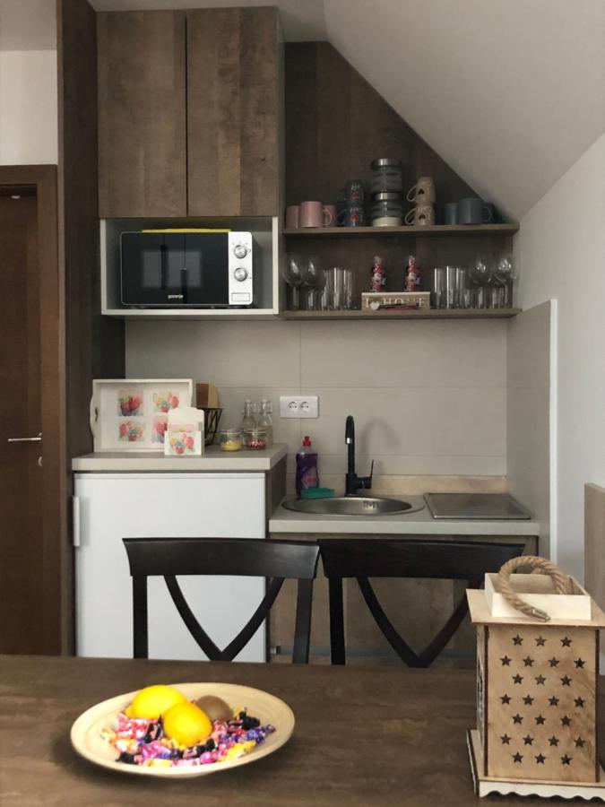 Apartmani Vidatela Копаоник Экстерьер фото