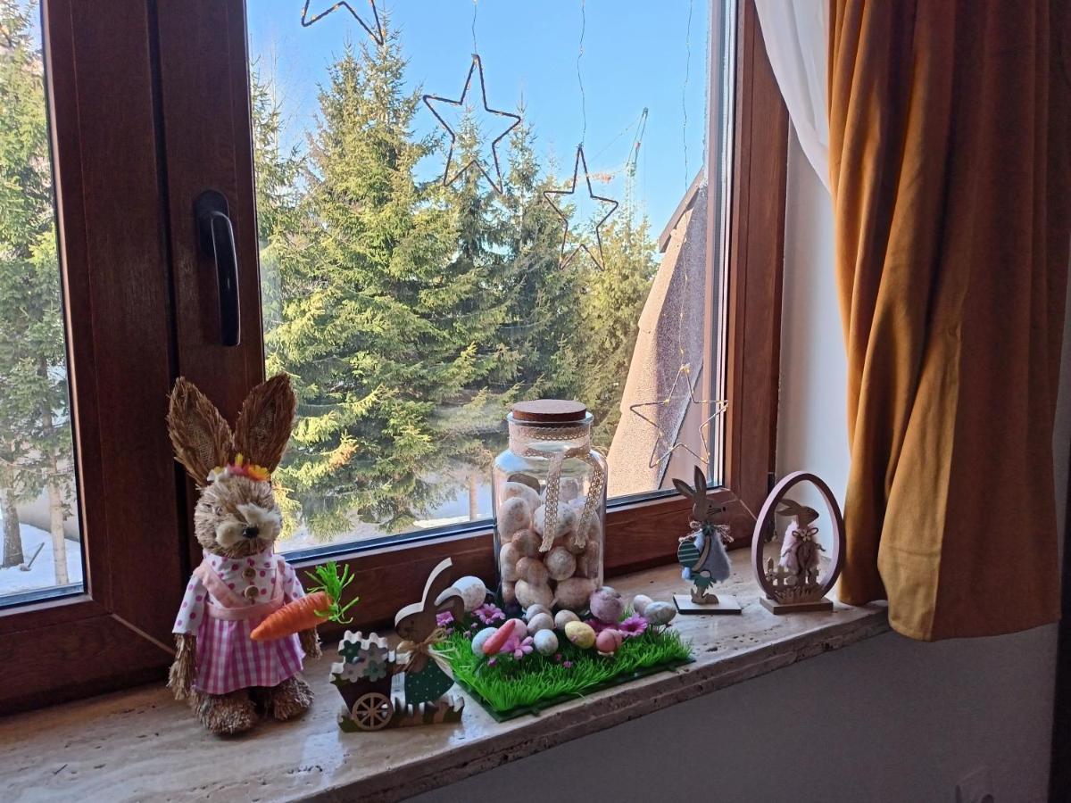 Apartmani Vidatela Копаоник Экстерьер фото